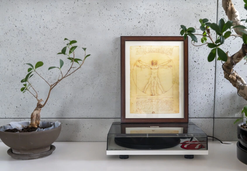 4 pokoje w Małym Kacku, cisza i spokój w mieście!