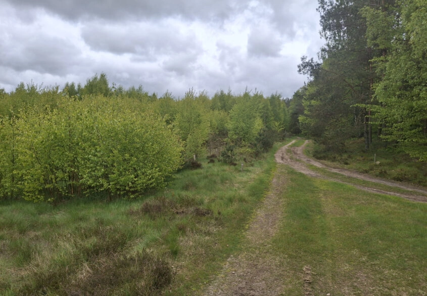 Pięknie położona, urokliwa działka przy lesie