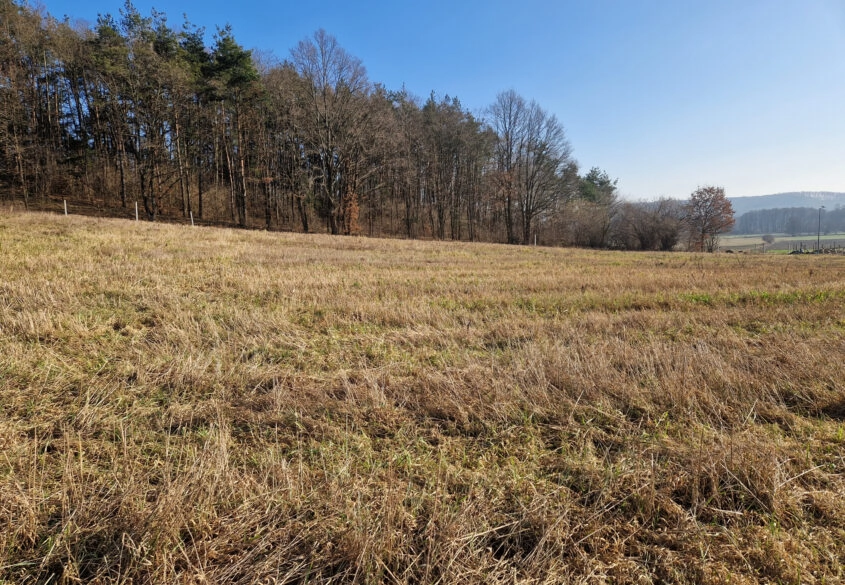 Działka przy lesie z pięknym widokiem