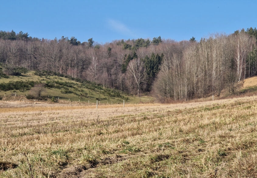 Działka przy lesie z pięknym widokiem