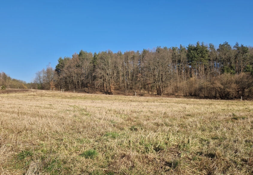 Działka przy lesie z pięknym widokiem