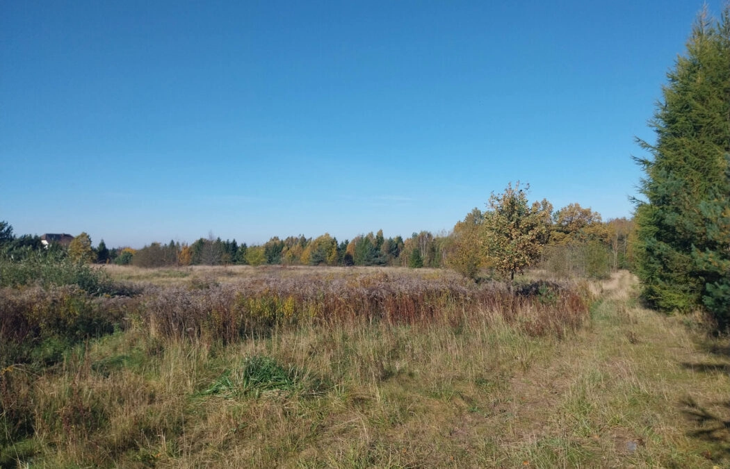 Działka 1,5ha pod zabudowę jednorodzinną - Pomlewo