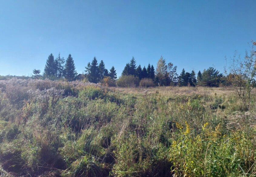 Działka 1,5ha pod zabudowę jednorodzinną - Pomlewo