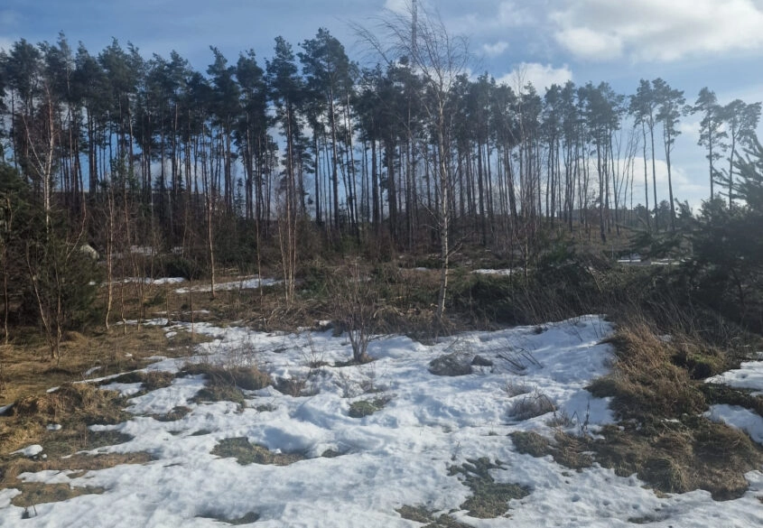 Działka przemysłowa