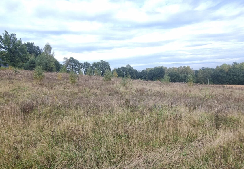 DZIAŁKI W OKOLICY BYTOWA