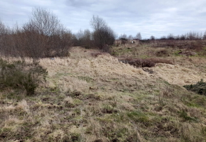 1 hektar (2 działki) w Dębogórzu gm. Kosakowo