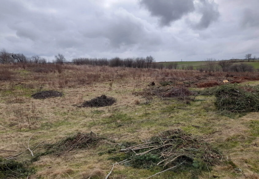 1 hektar (2 działki) w Dębogórzu gm. Kosakowo