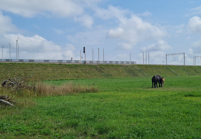 Działka usługowa, inwestycyjna - magazyny