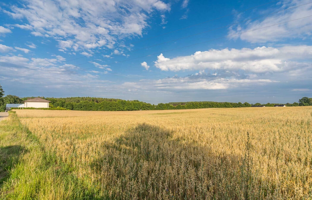 Działka Chwaszczyno - inwestycja z potencjałem