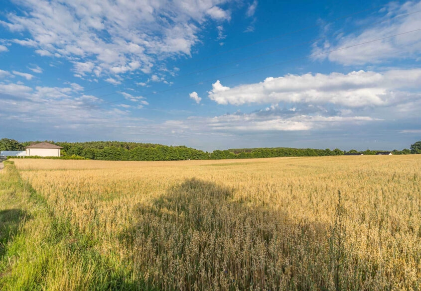 Działka Chwaszczyno - inwestycja z potencjałem