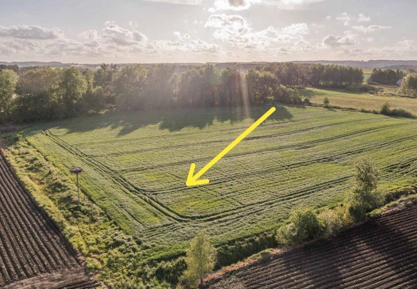 Budowlana | Prostokątna | Płaska | 1430m2