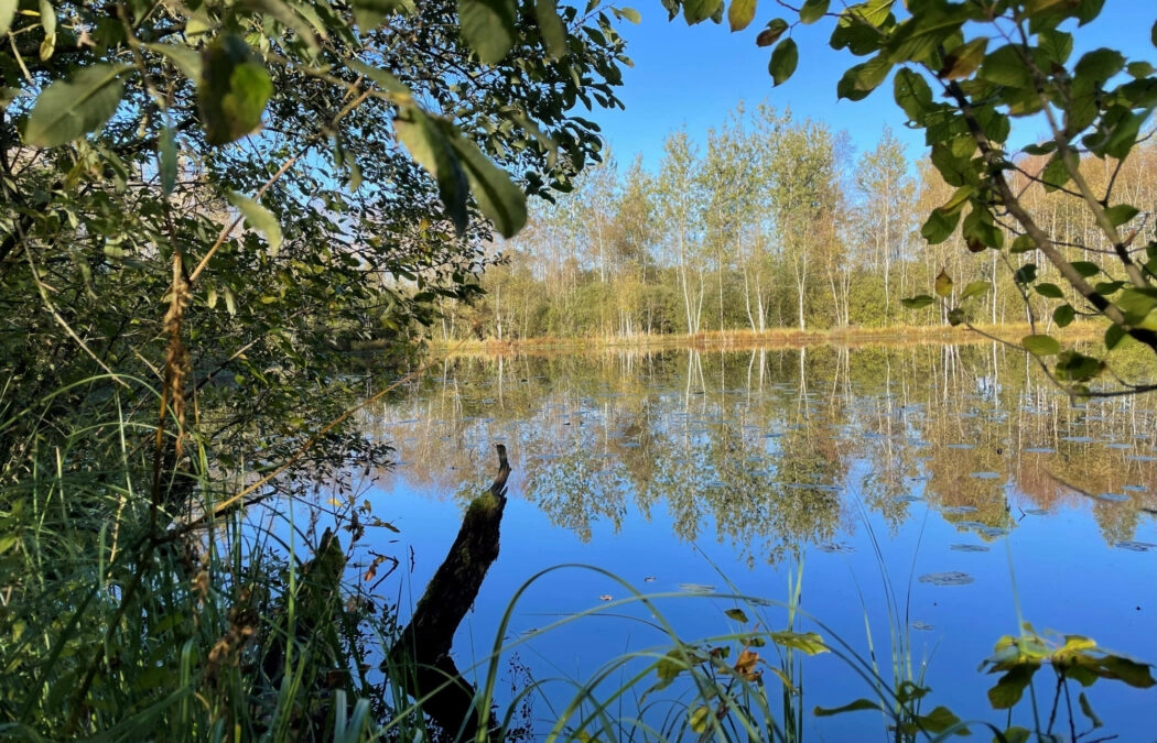 3,44 ha siedlisko, jezioro