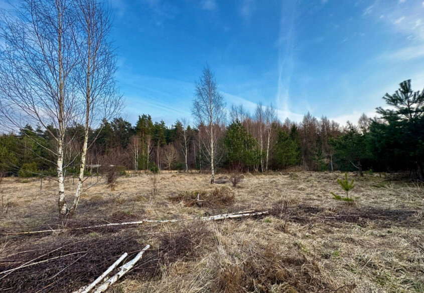 Piękna działka pod lasem 2257 m2 z wydaną WZKą!!.
