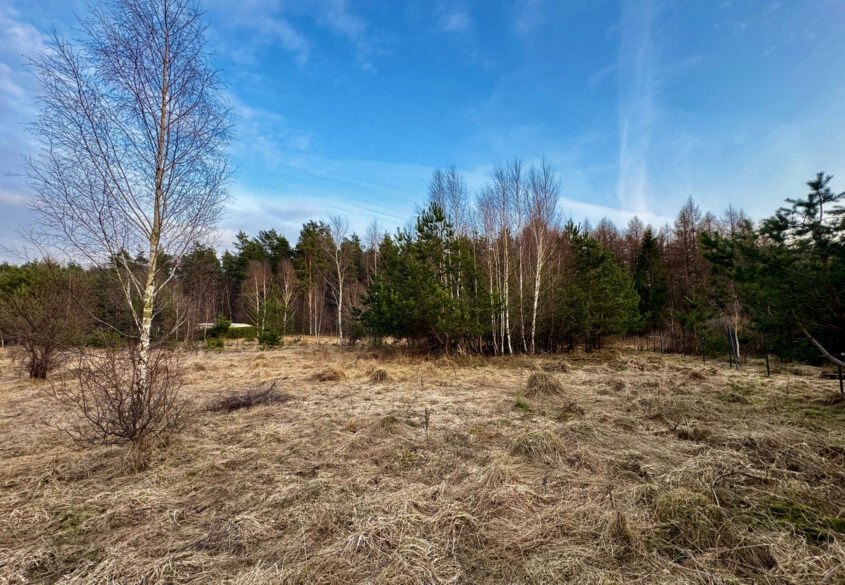 Piękna działka pod lasem 2257 m2 z wydaną WZKą!!.