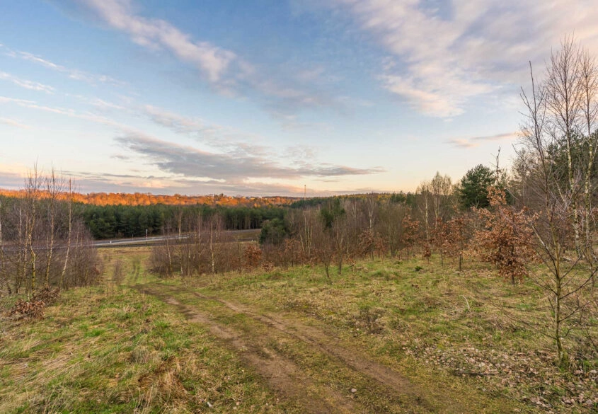 POD LASEM | PROSTOKĄTNA | TANIO!