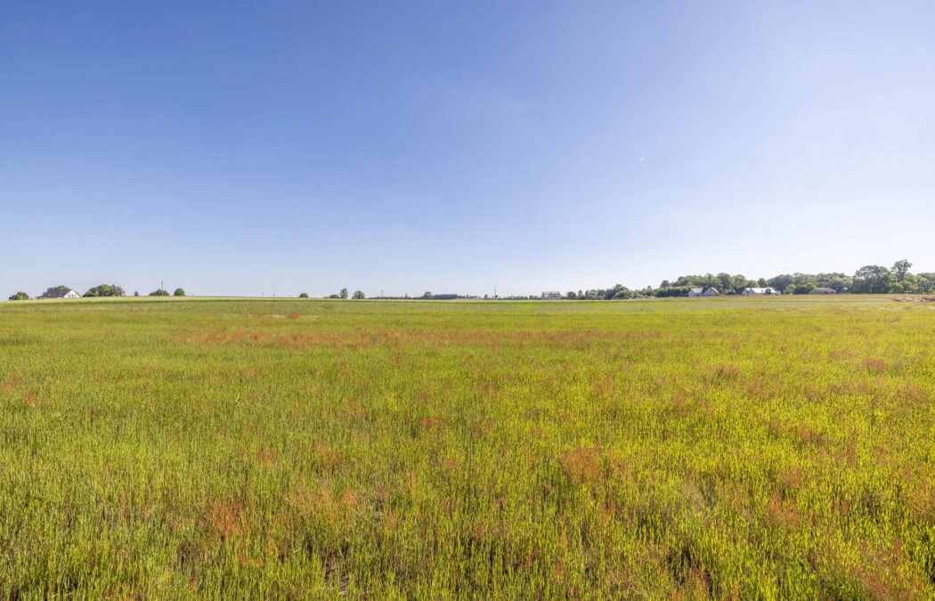 Wydane warunki zabudowy | Prąd, woda, gaz