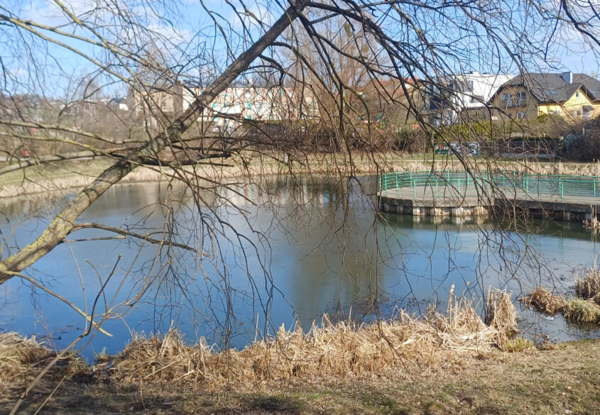 Wynajmę kaawalerkę przy ul. K. Bergiela