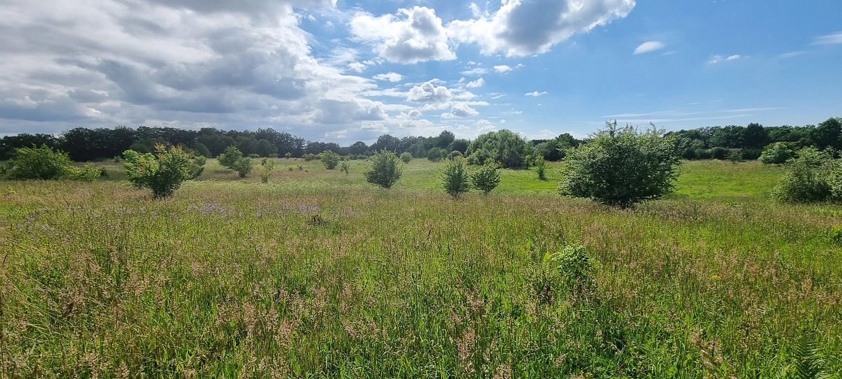 Działka nad jeziorem Salińskim