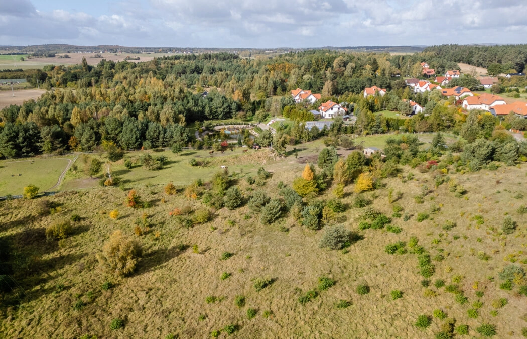 Działki usługowo-mieszkaniowe Kłodawa