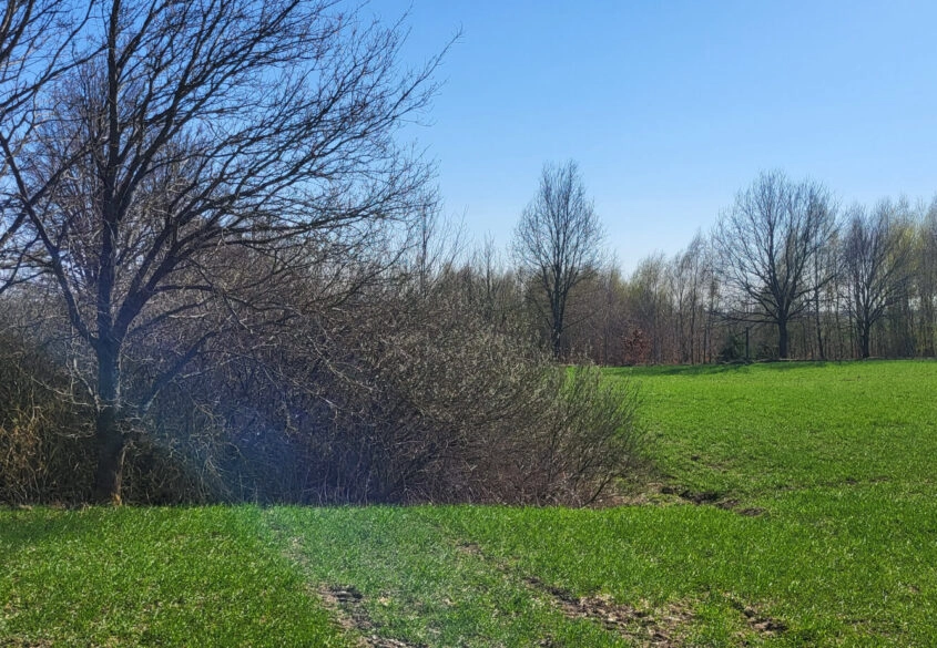 Działka ze stawem oraz Warunkami Zabudowy domu