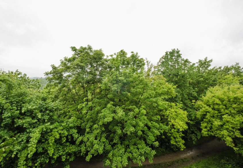 3 pokoje do własnej aranżacji/53m2/Suchanino