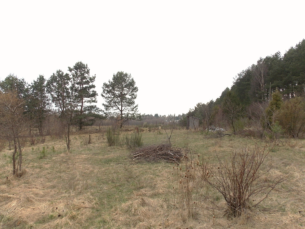 Kameralna działka w Baninie granicząca z rzeką!