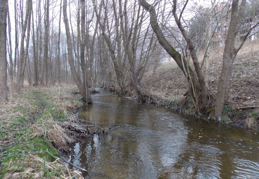 Kameralna działka w Baninie granicząca z rzeką!