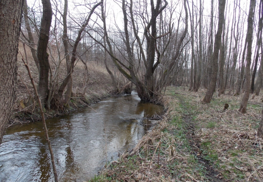 Kameralna działka w Baninie granicząca z rzeką!