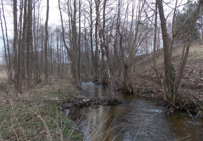 Kameralna działka w Baninie granicząca z rzeką!