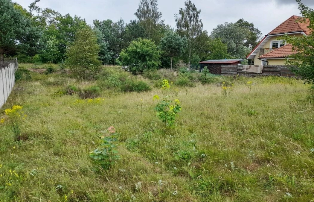 Kamień, 500 m do jeziora, działka budowlana