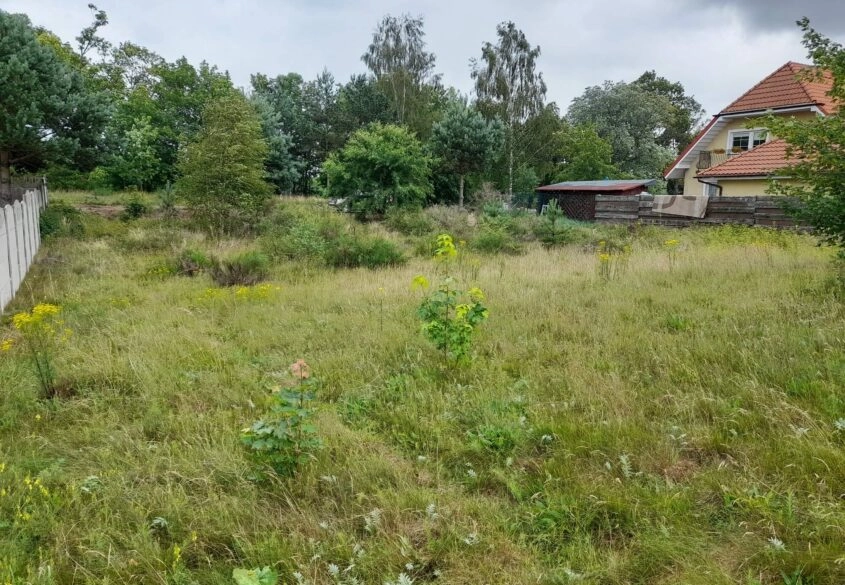 Kamień, 500 m do jeziora, działka budowlana