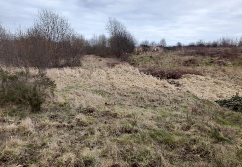 1 hektar (2 działki) w Dębogórzu gm. Kosakowo