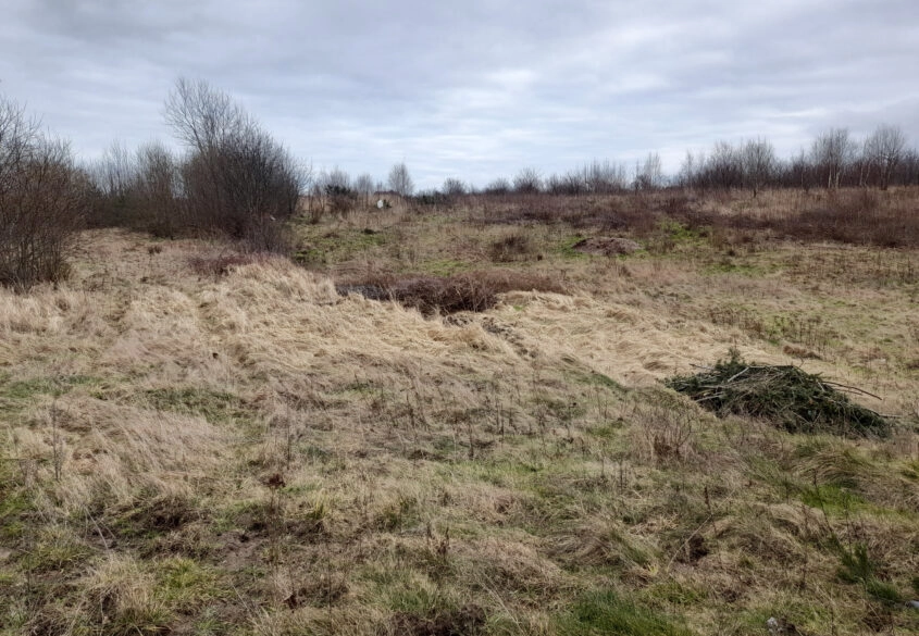 1 hektar (2 działki) w Dębogórzu gm. Kosakowo