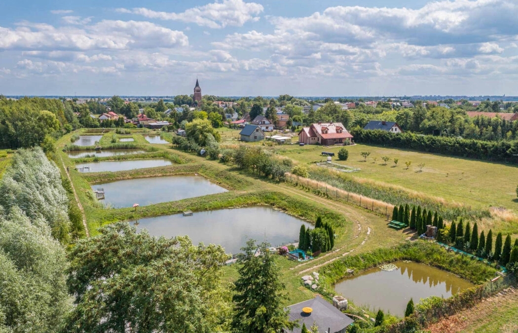 Działka z możwliościami- teraz 12 stawów z rybami