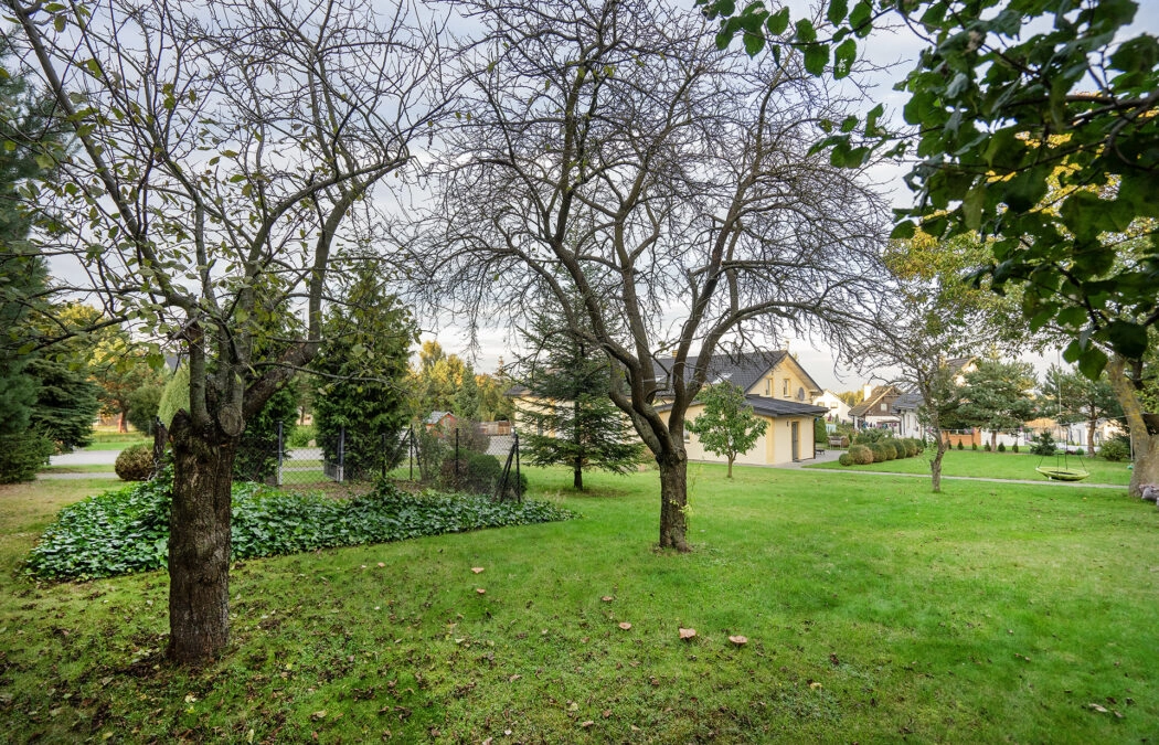 Dom mieszkalny z warsztatem i dużą działką