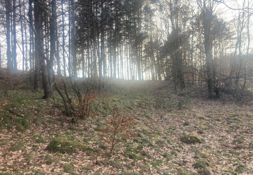 Działka siedliskowa w pobliżu Trójmiasta!