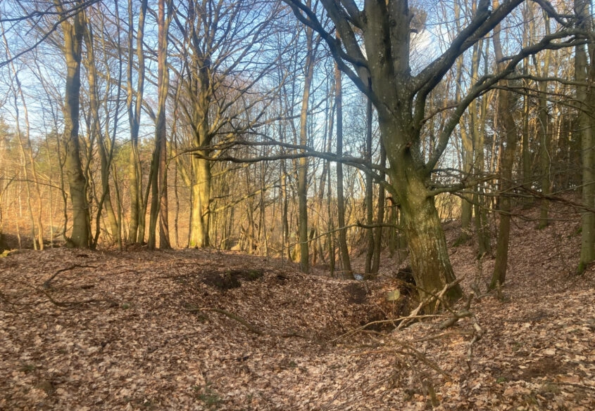 Działka siedliskowa w pobliżu Trójmiasta!