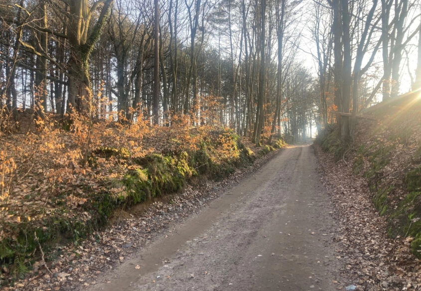 Działka siedliskowa w pobliżu Trójmiasta!