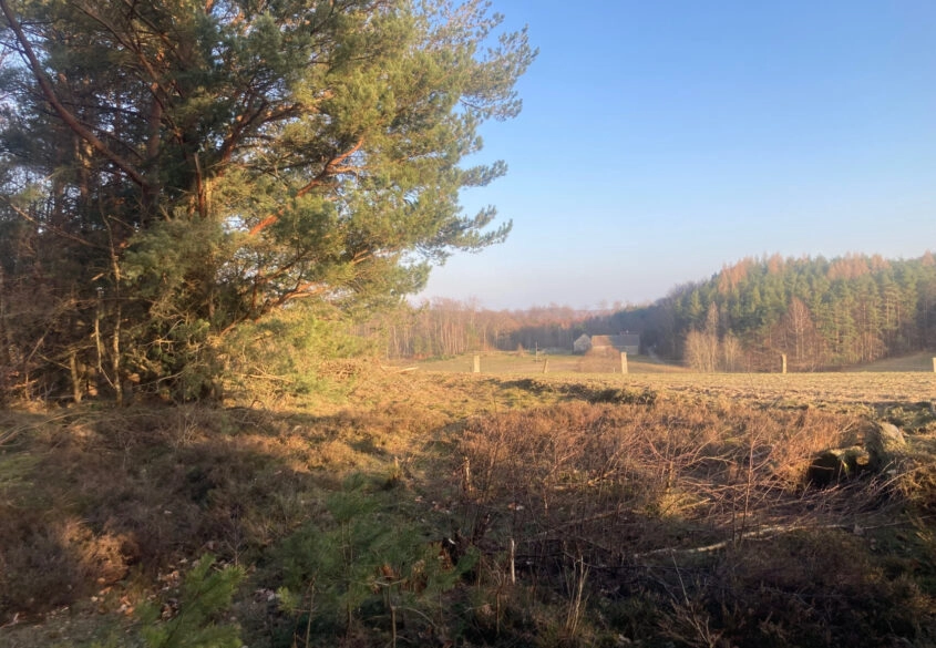 Działka siedliskowa w pobliżu Trójmiasta!
