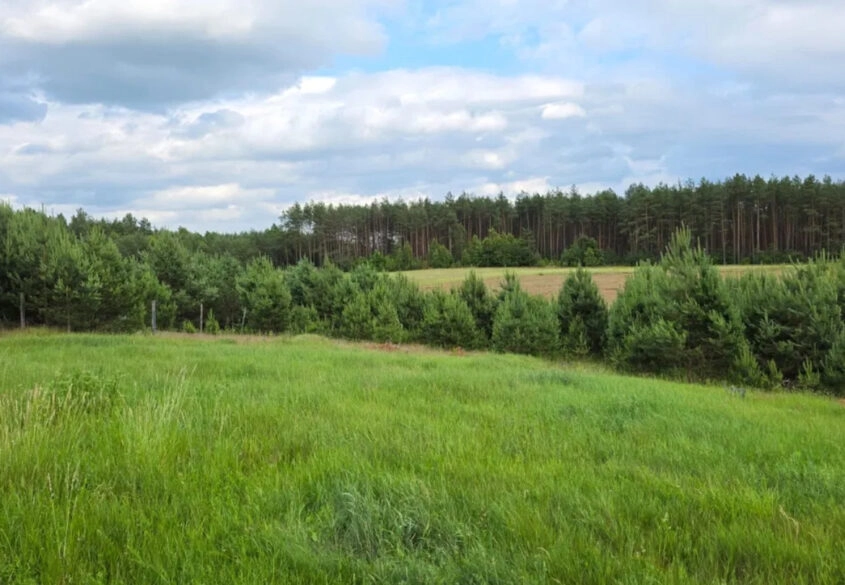 Prąd na działce | Woda tuż przed | Ogród od płd