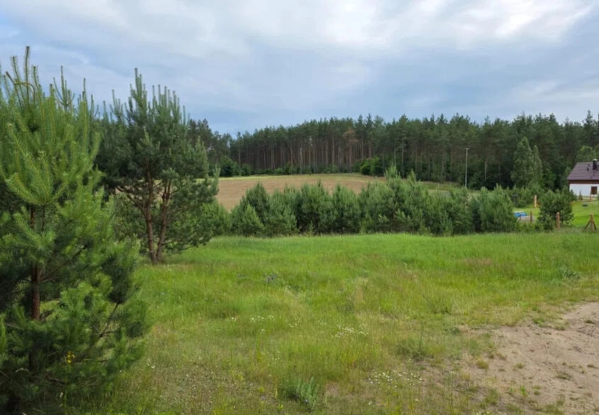 Prąd na działce | Woda tuż przed | Ogród od płd