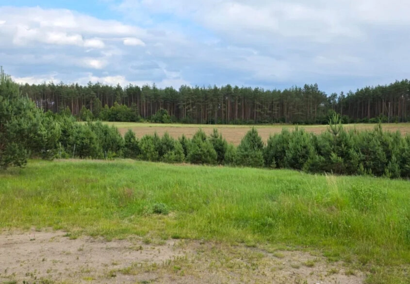 Prąd na działce | Woda tuż przed | Ogród od płd