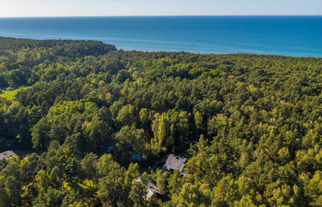 Apartament w otulinie lasu - 400 m od morza!