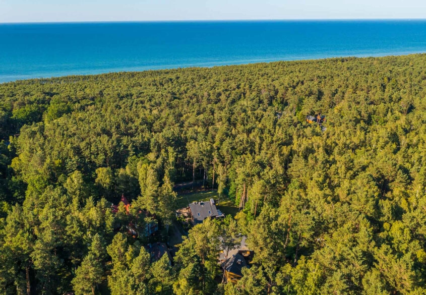 Apartament w otulinie lasu - 400 m od morza!