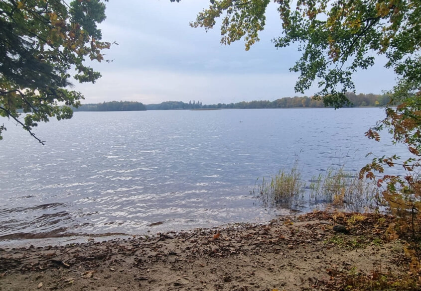Działka z linią brzegową nad jeziora Salinko