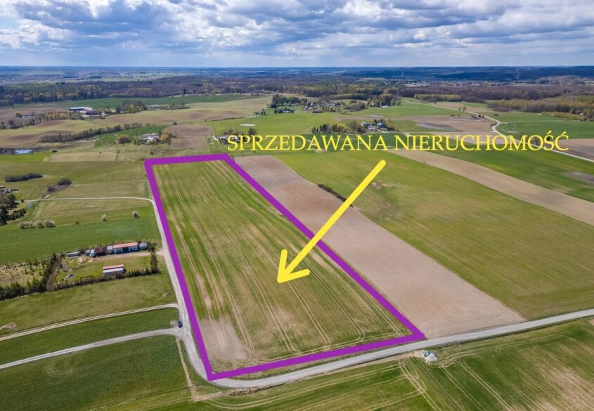 Działka pod siedlisko, stadninę koni, pasiekę