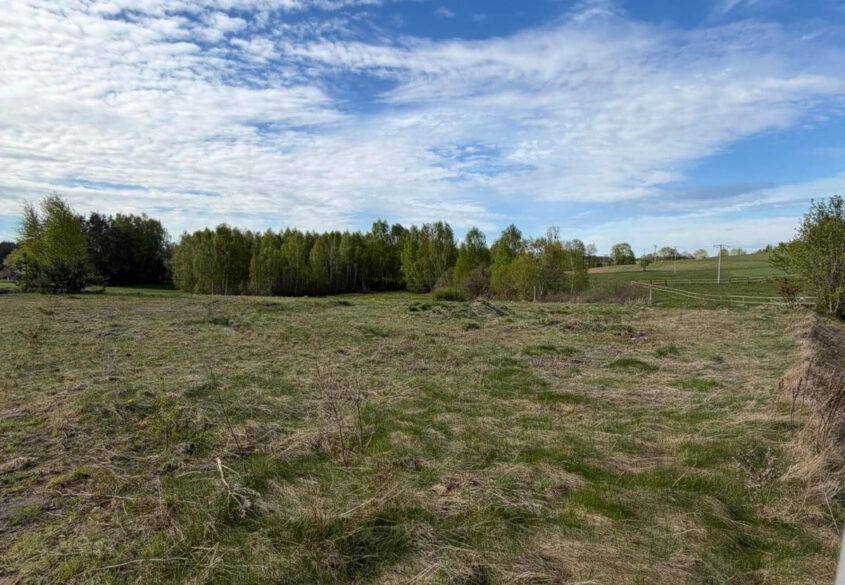 Psale, stadnina koni, jeziora, wydane WZ