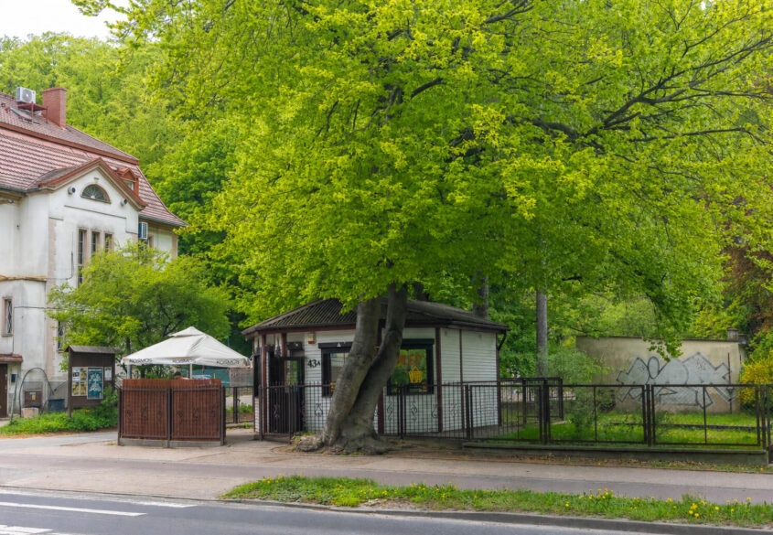 Do wynajęcia od zaraz!