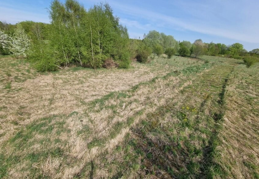 Działka nad jeziorem Salińskim