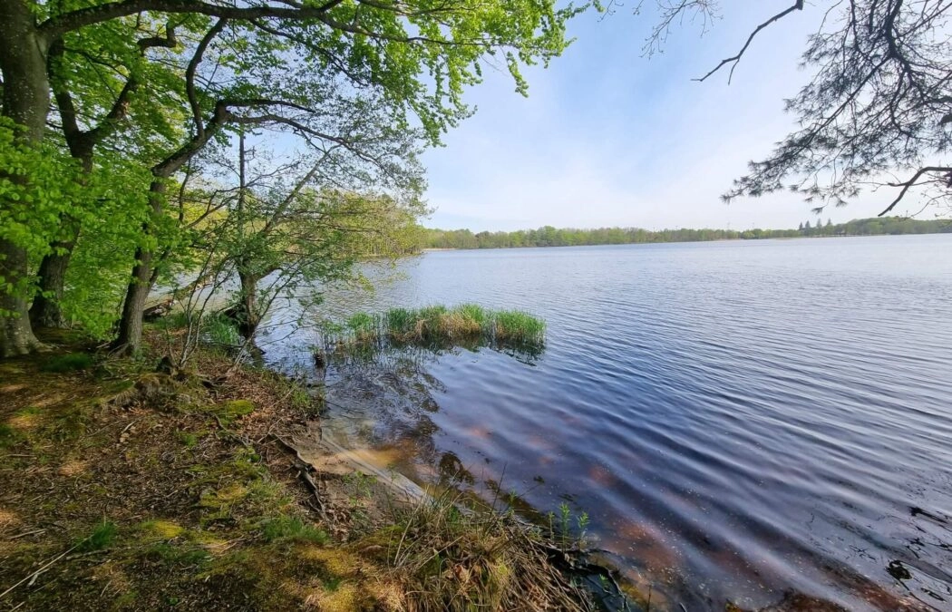 DZIAŁKA BUDOWLANA NAD JEZIOREM